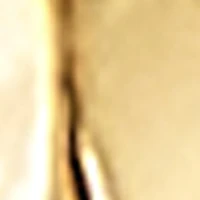 Rhedridus