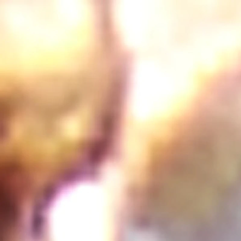 Agathaex