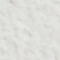 Chicsneaker