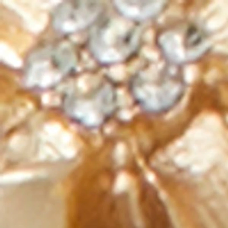 Chicadellicc