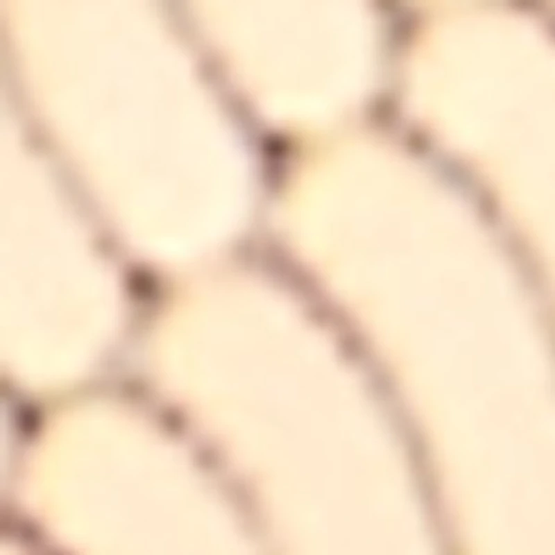 Seascharms