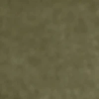 Elaurien