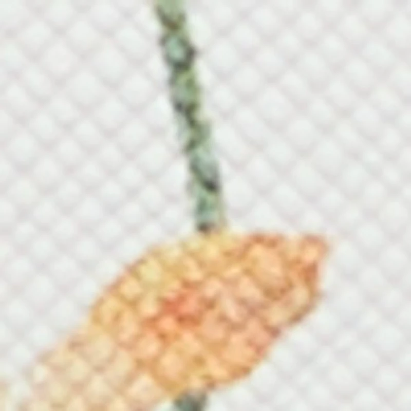 Lothycannx