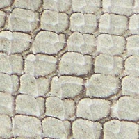 Calypsa