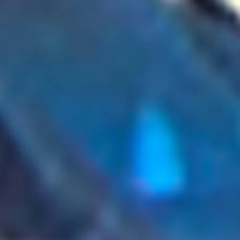 Protrectra