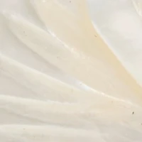 Camelliaa