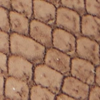 Anitabrilden