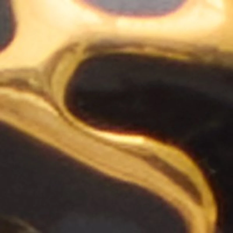 Roarcity