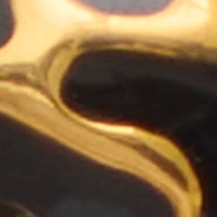 Roarcity