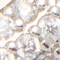Strigidae