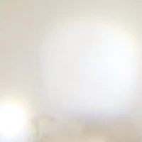 Flowerclip