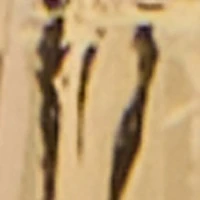 Cornicello