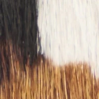 Barano