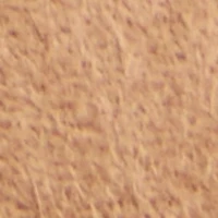 Ayrah