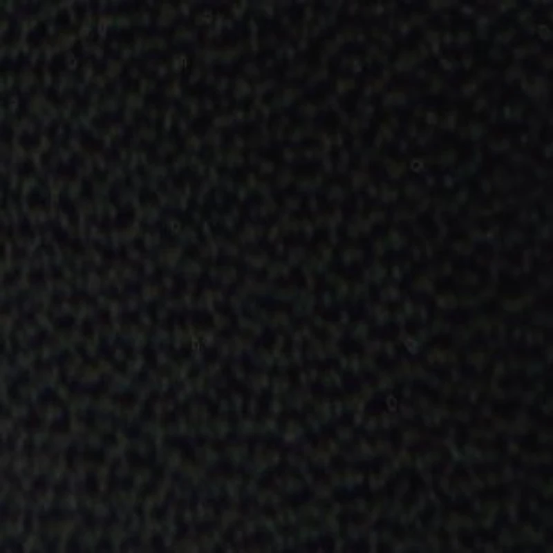 Aryanea