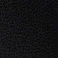 Aryanea