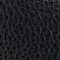Ericca