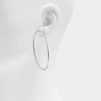ALDO Eryri in Silver/clear Multi