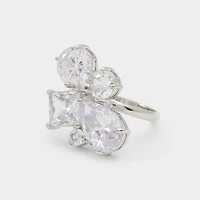 ALDO Acedan Silver/clear Multi,
