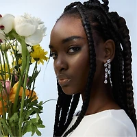 Anisaa
