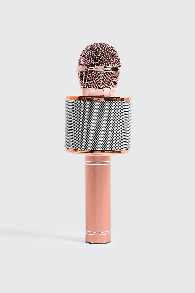 Wireless Microphone Hi-FI Speaker