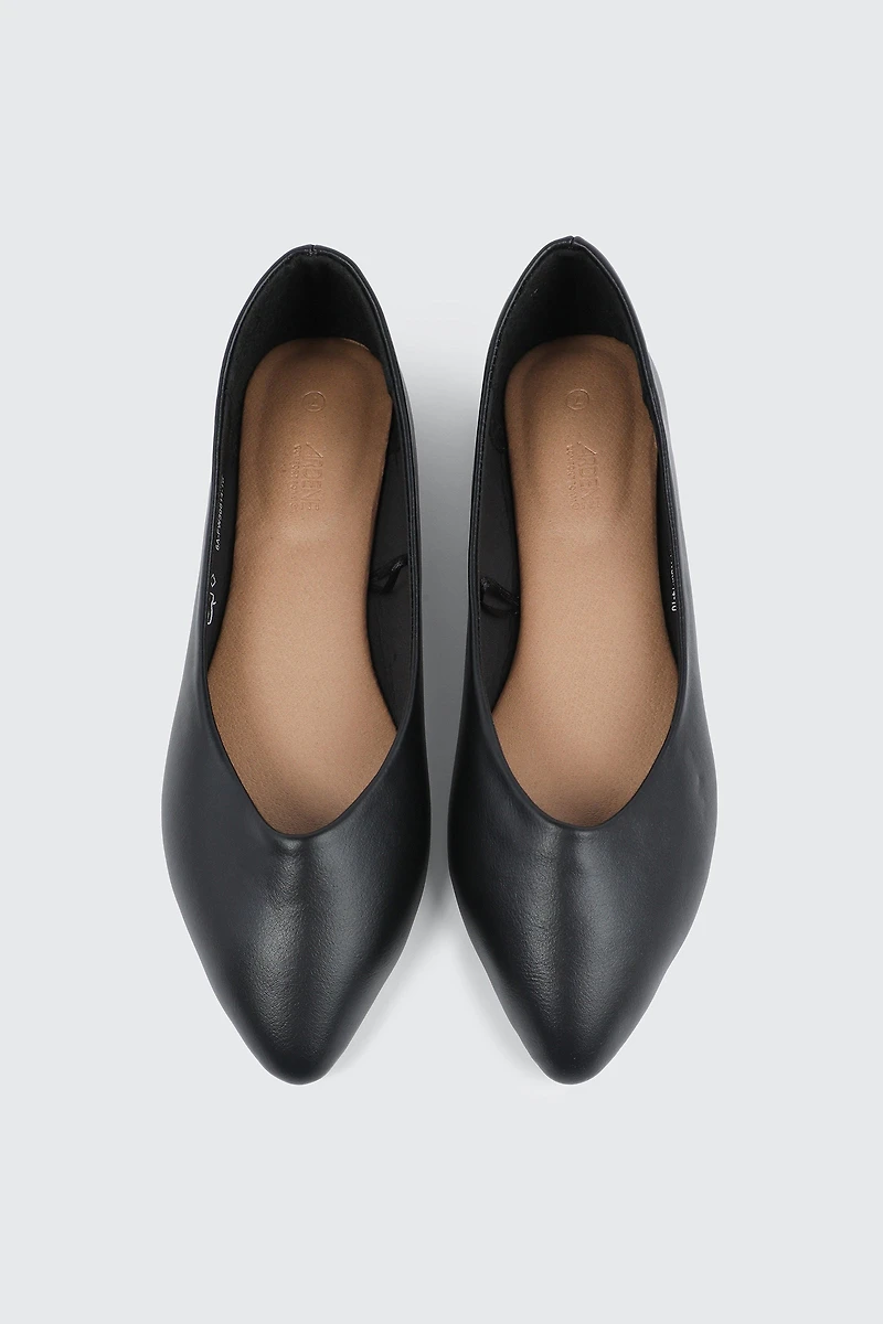 Pointy Toe Flats
