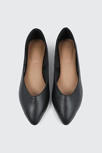 Pointy Toe Flats