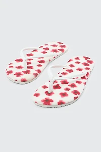 Flip-Flops