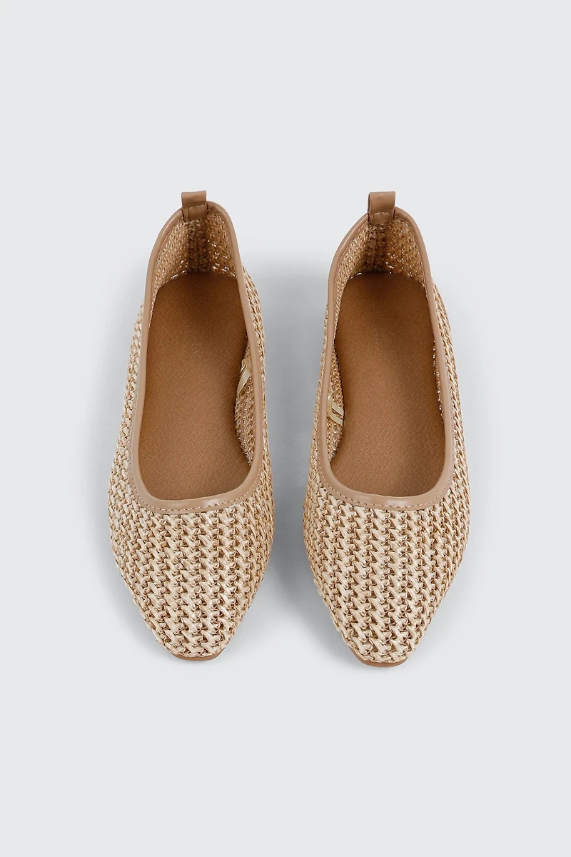 Pointed Toe Flats