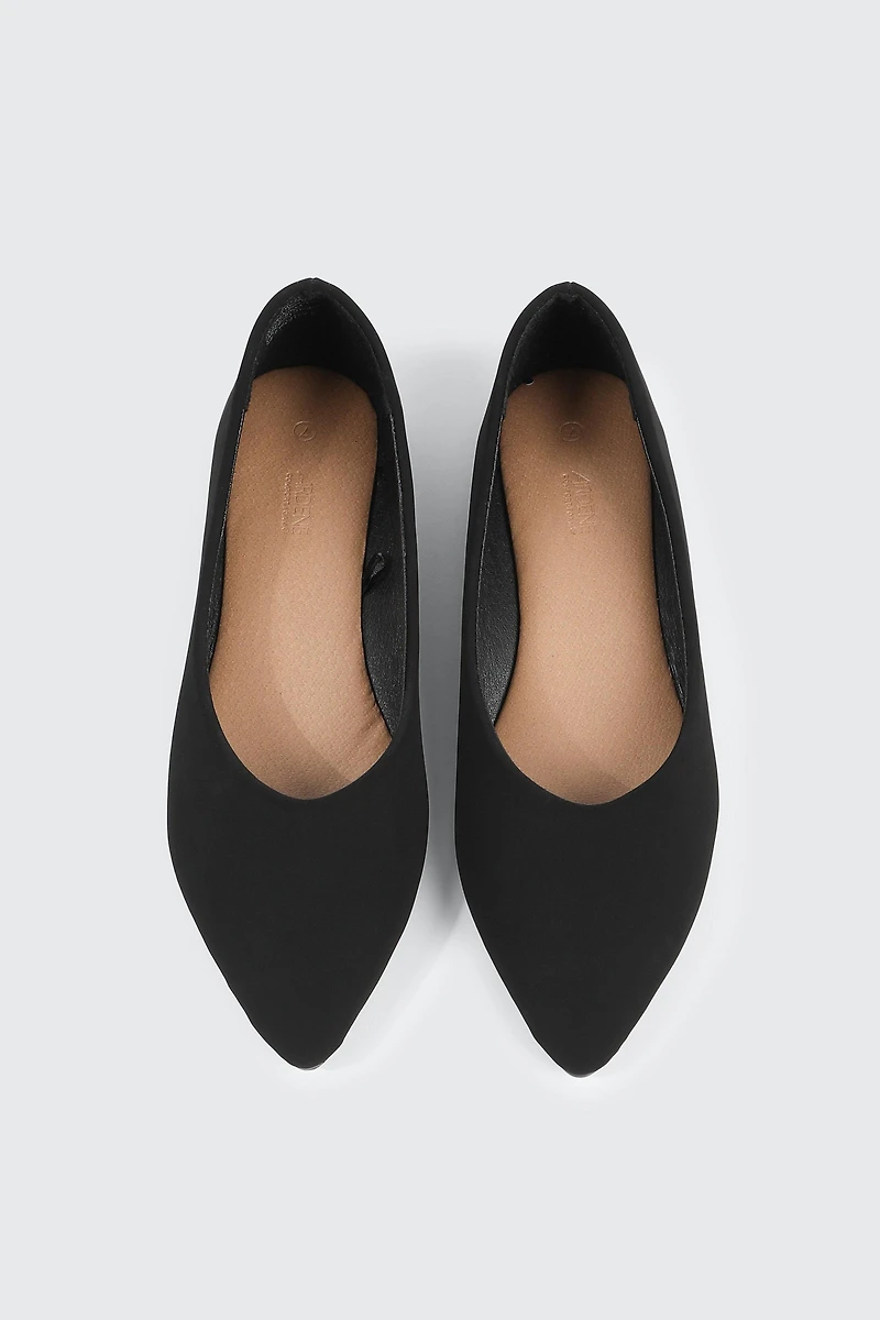 Pointed Toe Flats