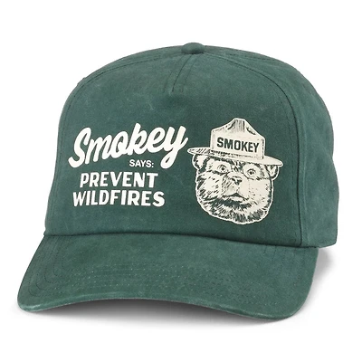 AMERICAN NEEDLE: SMOKEY BEAR WALKER HAT