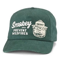 AMERICAN NEEDLE: SMOKEY BEAR WALKER HAT