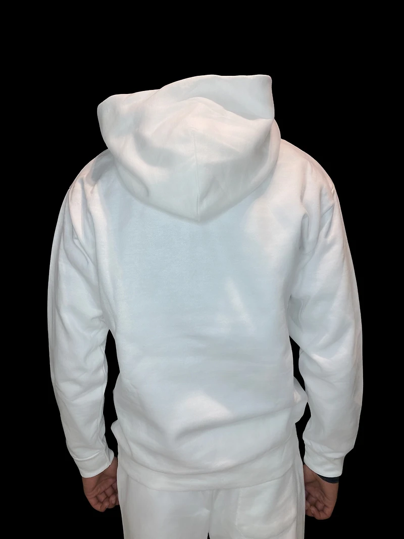 8586: UNISEX LOGO HOODIE