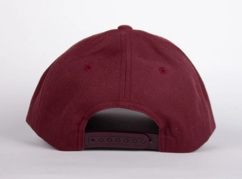 WLKN : Stair Baseball Cap