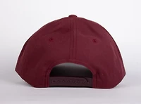 WLKN : Stair Baseball Cap