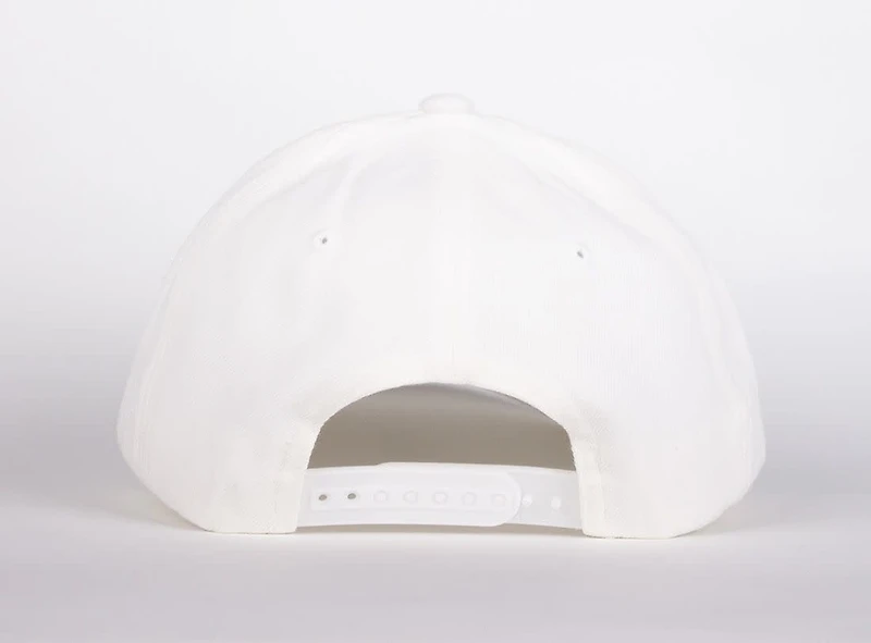 WLKN : Stair Baseball Cap