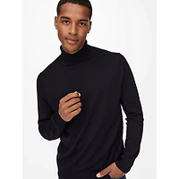 Only & Sons : Regular Knit Rollneck