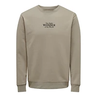Only & Sons : Regular Fit Celebrity Crewneck