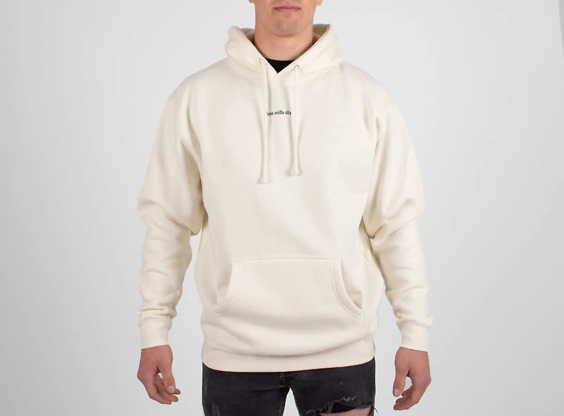 WLKN : Deux Mille Dix Hoodie