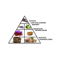 Al Haramain Detour Eco EDP 100ML Unisex