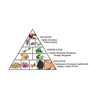 Al Haramain Detour Noir EDP 100ML Unisex