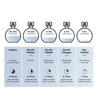 MPF Ideal  EDP 100ML Unisex