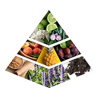 Khadlaj Hareem Al Sultan Gold CPO 35ML Women