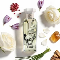 Reef Blanc Nomad Extrait De Parfum 150ML Unisex