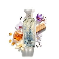 Reef Blanc Ash Extrait De Parfum 150ML Unisex