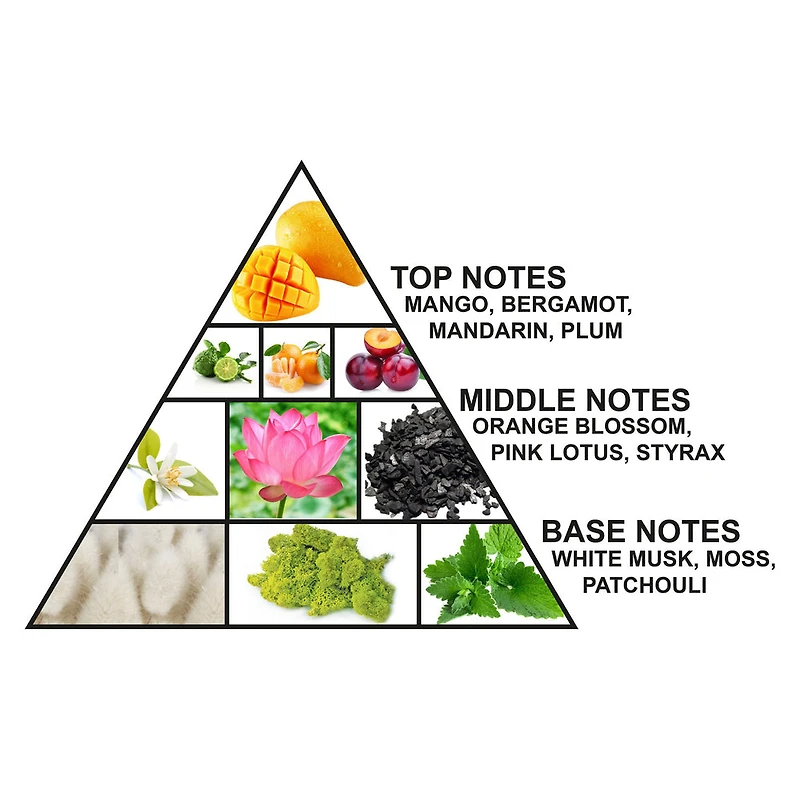 Al Haramain Amber Oud Future Dubai Extrait De Parfum 100ML Unisex