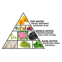 Al Haramain Amber Oud Future Dubai Extrait De Parfum 100ML Unisex