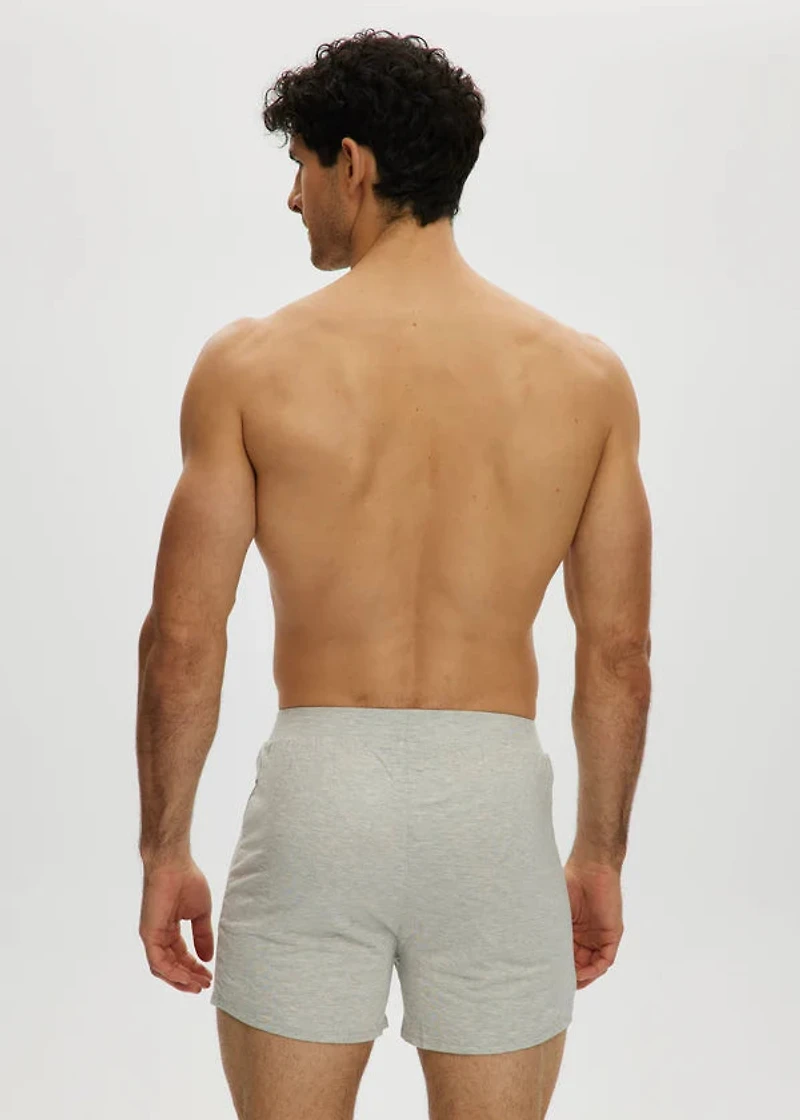 Boxer Lounge Essentiel Light Grey