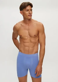 5" Seamless Boxer Shorts Blue Herron