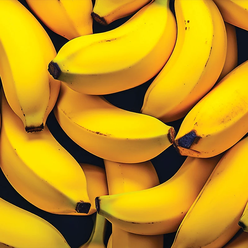 Boxer Funzy Banana Time
